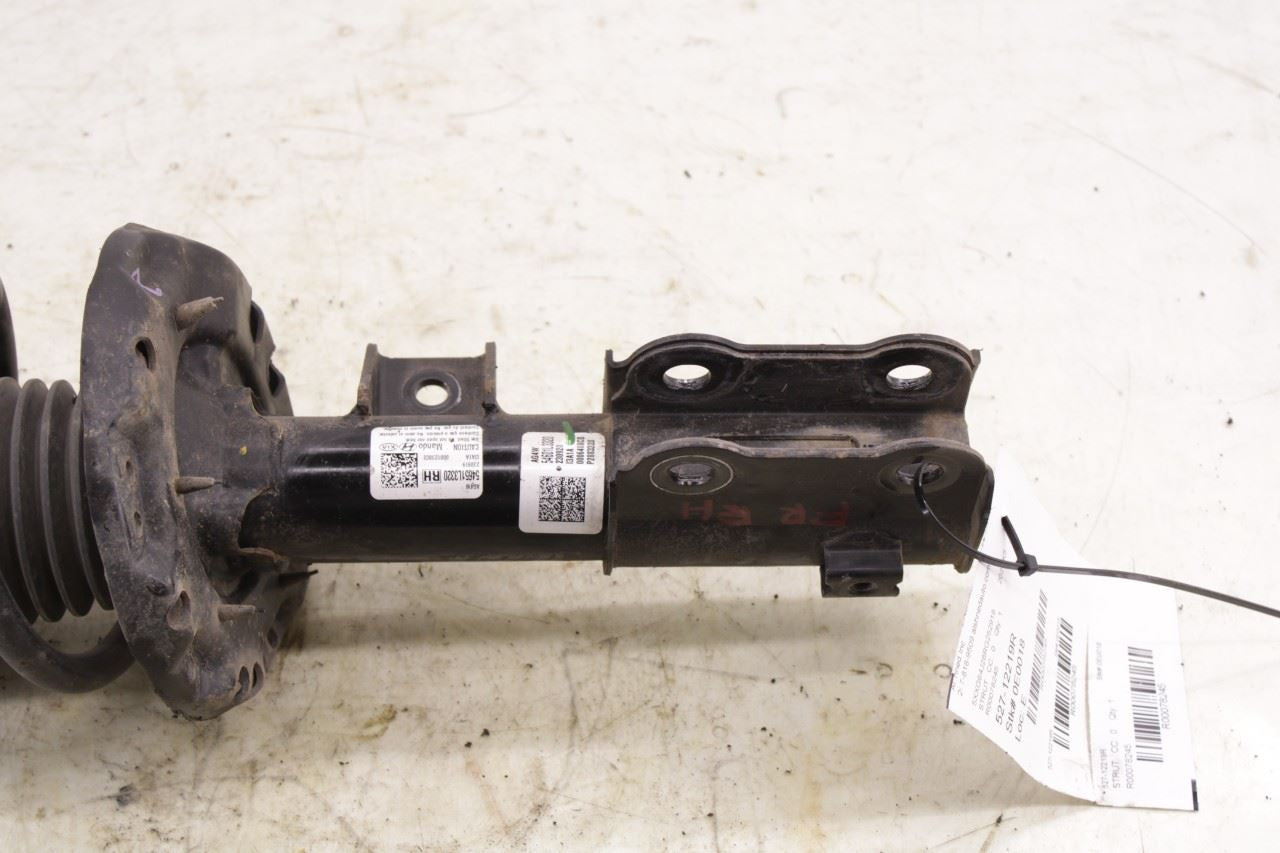 2021-24 Kia K5 GT-Line 1.6L AWD Front Right Passenger Side Shock Strut Absorber - Alshned Auto Parts