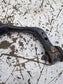 18-20 Ford F150 4WD Front Right Passenger Side Upper Control Arm JL1Z-3084-B OEM3