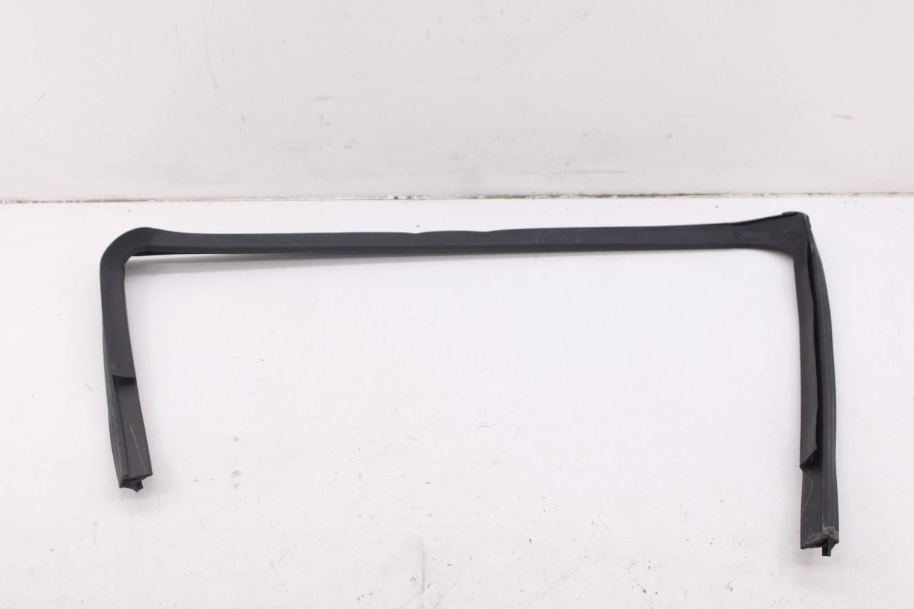 2010-20 Dodge Grand Caravan SXT Rear Left Door Window Run Channel Trim Belt Set6