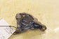 20202025 Mazda CX30 2.5 S 2.5L Front Right CV Axle Shaft Carrier Bearing Mount - Alshned Auto Parts