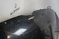 *READ* 2007 Volkswagen Golf GTI Hood Panel 5K0823031G OEM - Alshned Auto Parts