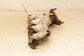 2012-2020 ISUZU NPR HD 6.0L Left Side Exhaust System Manifold 12612392 OEM - Alshned Auto Parts