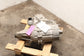 2022-25 Chevrolet Silverado LT-L 2.7L 4x4 Single Speed Transfer Case opt MQE 44K - Alshned Auto Parts