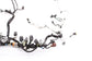 2018-2019 Ford Expedition Limited 3.5L Engine Wire Harness HU5T-12C508-CR OEM - Alshned Auto Parts