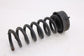 2010-2016 Mercedes-Benz E 350 Luxury 4Matic Rear Right and Left Side Coil Spring10