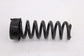 2010-2016 Mercedes-Benz E 350 Luxury 4Matic Rear Right and Left Side Coil Spring4