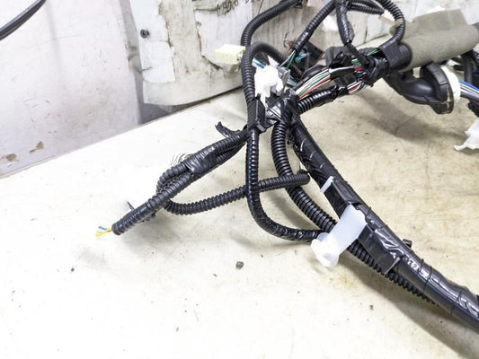 2016-2018 Toyota Sienna Tailgate Liftgate Back Door Wire Harness 82184-08360 OEM