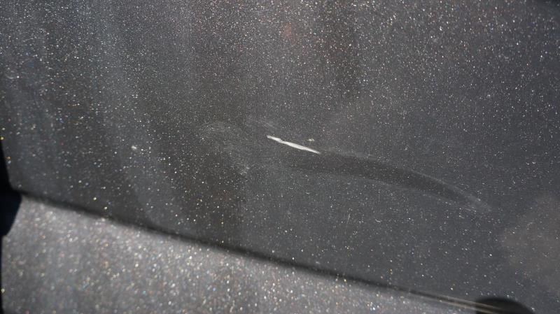 2015-2020 Ford F150 Driver Side Left Rear Door FL3Z-1624631-B OEM - Alshned Auto Parts