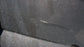 2015-2020 Ford F150 Driver Side Left Rear Door FL3Z-1624631-B OEM - Alshned Auto Parts