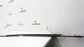 2016 Mazda CX-3 Passenger Right Front Door Glass Trim D10EFF OEM - Alshned Auto Parts