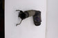 2016-2019 Mini Hardtop Cooper 1.5L FWD Exhaust System Pipe 18327634630 OEM8