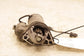 2014-2020 Infiniti Q50 Premium 3.0L Engine Starter Motor 233004GB0A OEM - Alshned Auto Parts