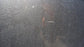 2015-2020 Ford F150 Driver Side Left Rear Door FL3Z-1624631-B OEM - Alshned Auto Parts