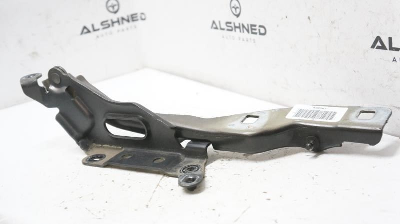 2018 Ford F150 Hood Hinge FL34-16800-A OEM - Alshned Auto Parts