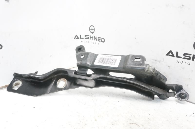 2018 Ford F150 Right Left Hood Hinges Set Pair FL34-16800-A OEM - Alshned Auto Parts