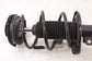 2015-2019 Nissan Sentra SL 1.8L FWD Front Left Driver Side Shock Strut Absorber - Alshned Auto Parts