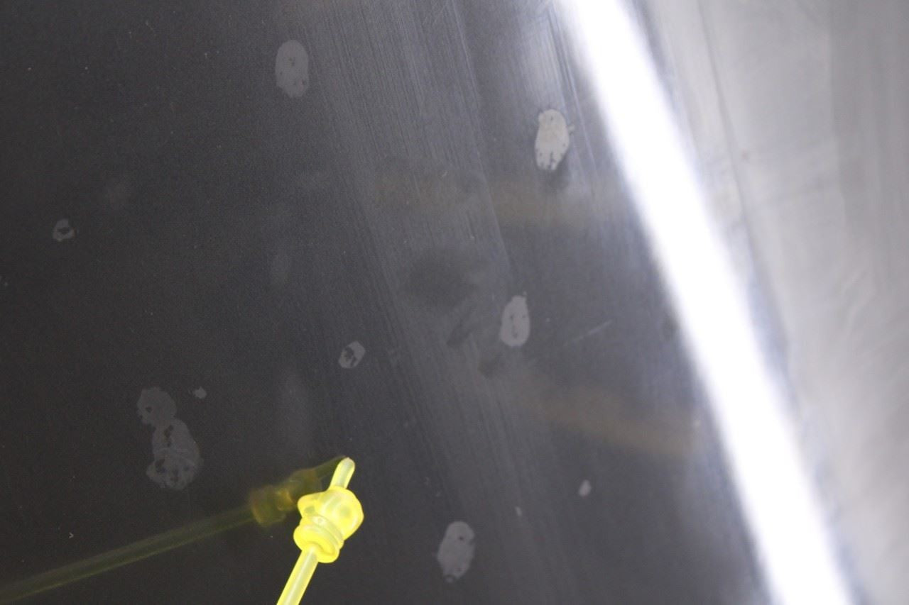 2003-2006 Mercedes-Benz E500 Front Hood Bonnet Shell Panel 2118800157 OEM9
