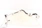 18-25 Jeep Wrangler AC Conditioning Suction and Liquid Line Hose 68282106AD OEM - Alshned Auto Parts