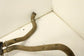 2020-2025 Polaris RZR XP 1000 Engine Coolant Hose Lines 5141612 OEM - Alshned Auto Parts
