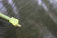20112017 BMW X3 xDrive28i Rear Roof Sunroof Glass Panel 54107304487 OEM - Alshned Auto Parts