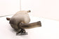 2019-2025 Infiniti QX50 LUXE 2.0L FWD Rear Exhaust System Muffler 20100-5NA4A - Alshned Auto Parts