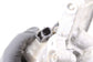 2016-2021 Mazda CX-3 2.0L AC Air Conditioner Compressor 12V D09W61450 OEM - Alshned Auto Parts