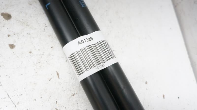 2016 Mazda CX-3 Tail Gate Door Dumper Support Strut Set D10E-63-620A OEM - Alshned Auto Parts