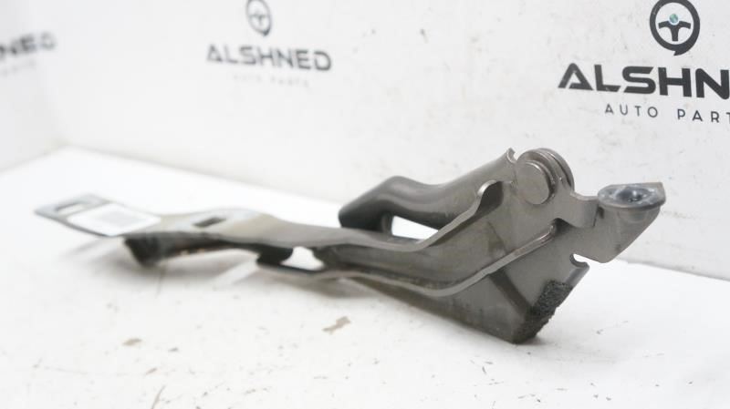 2018 Ford F150 Hood Hinge FL34-16800-A OEM - Alshned Auto Parts