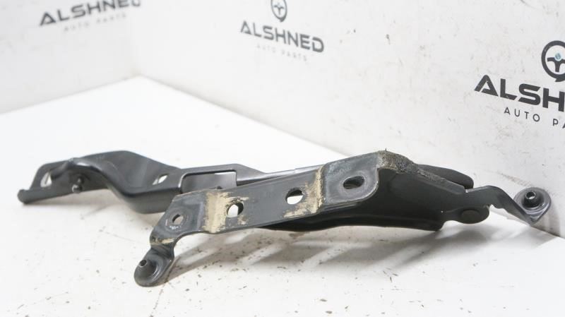2018 Ford F150 Hood Hinge FL34-16800-A OEM - Alshned Auto Parts