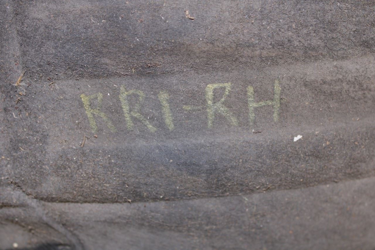 20112017 BMW X3 xDrive28i Rear Right Wheelhouse Liner Splash Shield 51717213650 - Alshned Auto Parts