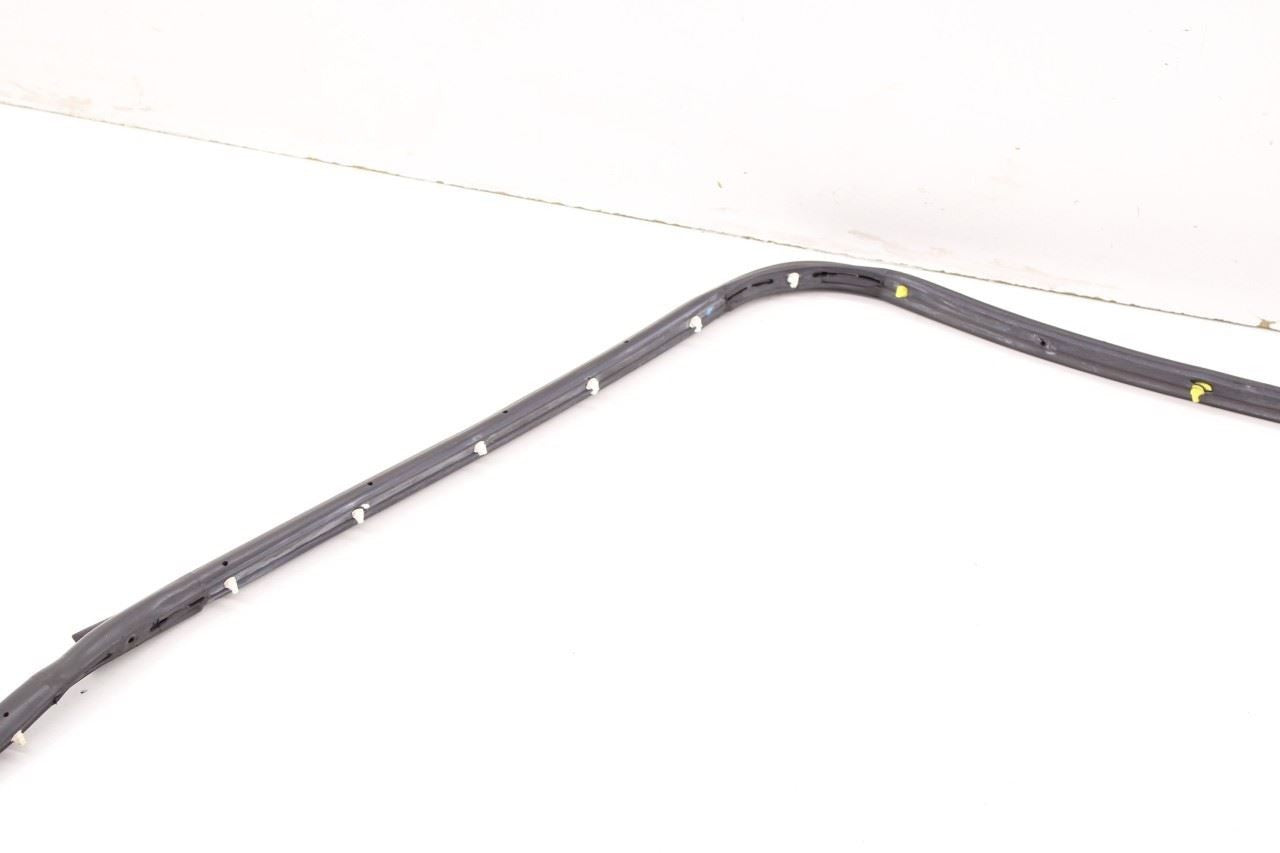 2011-2018 Ram 1500 Crew Cab Laramie Rear Left Door Mounted Weatherstrip *ReaD* - Alshned Auto Parts