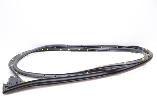 2015-19 Ford F150 Rear Right Side On Door Weather Strip Seal FL34-1625324-A OEM - Alshned Auto Parts