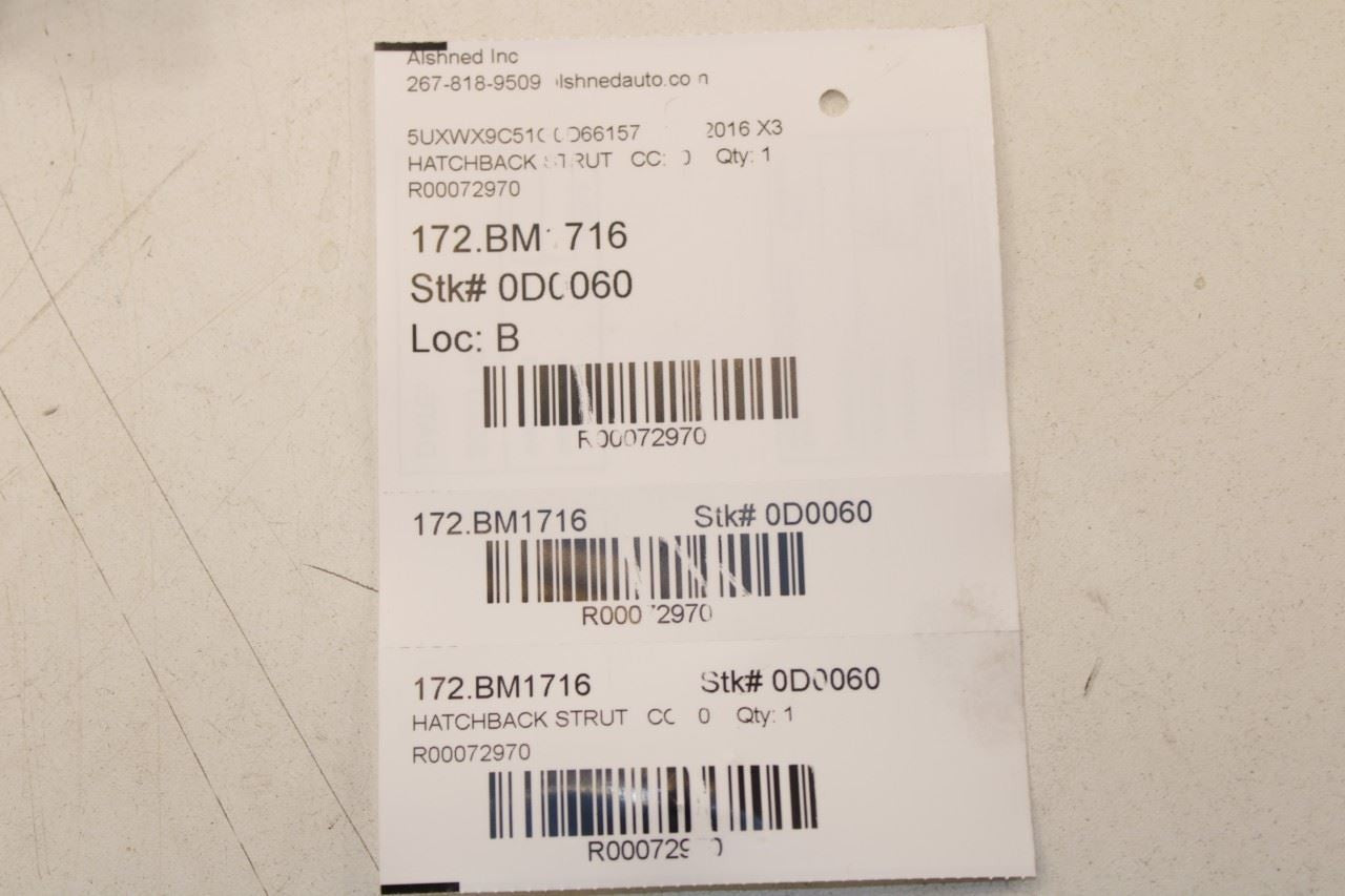 1117 BMW X3 xDrive28i RR RH and LH Liftgate Power Lift Cylinder Strut Set of 2 - Alshned Auto Parts