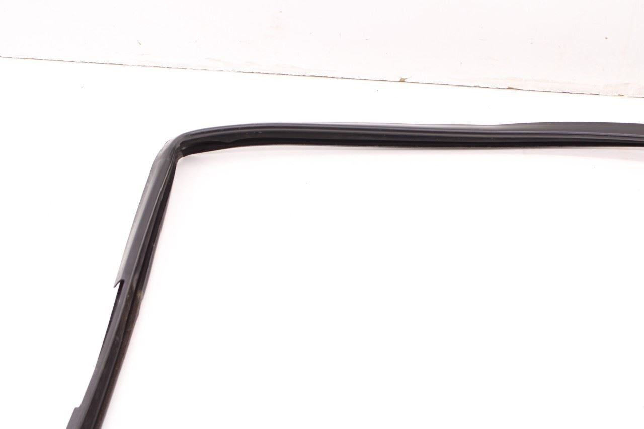 2011-2018 Ram 1500 Laramie Front Right Door Run Channel with Belt Weatherstrip - Alshned Auto Parts