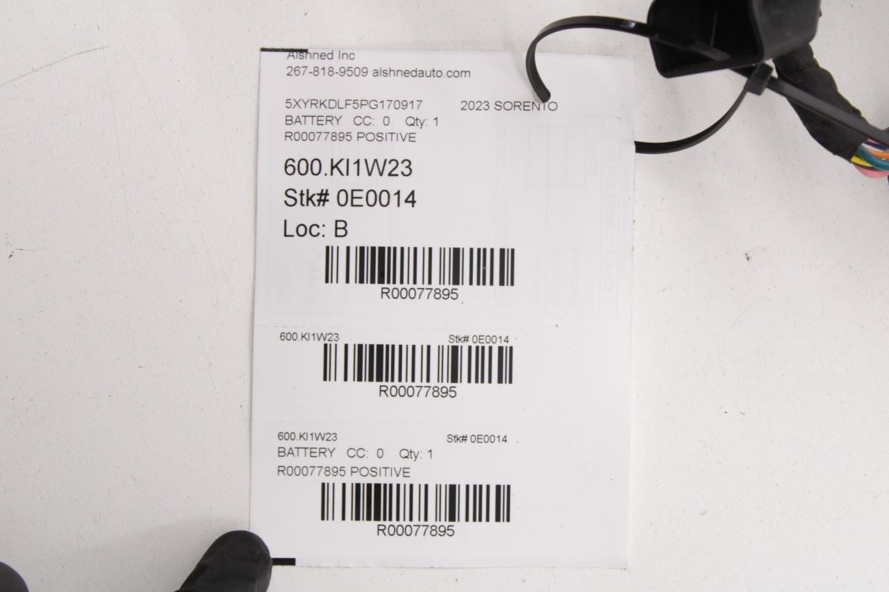 2021-2023 Kia Sorento X-Line SX Prestige 2.5L Positive Battery Wire Harness - Alshned Auto Parts