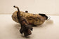 2019-2022 Jeep Cherokee Latitude 3.2L 4x4 Right Side Exhaust Pipe 68337774AB OEM - Alshned Auto Parts