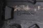 2019-2025 Infiniti QX50 LUXE 2.0L FWD Fuel Gas Tank 16.0 US Gallons 17202-5NA0A - Alshned Auto Parts