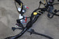 2021 Ford Bronco Sport 1.5L Main Body Wire Harness LX6T-14A005-XCCD OEM - Alshned Auto Parts