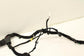 2015-2020 Jeep Renegade Dash Instrument Panel Wire Harness 68304005AA OEM - Alshned Auto Parts