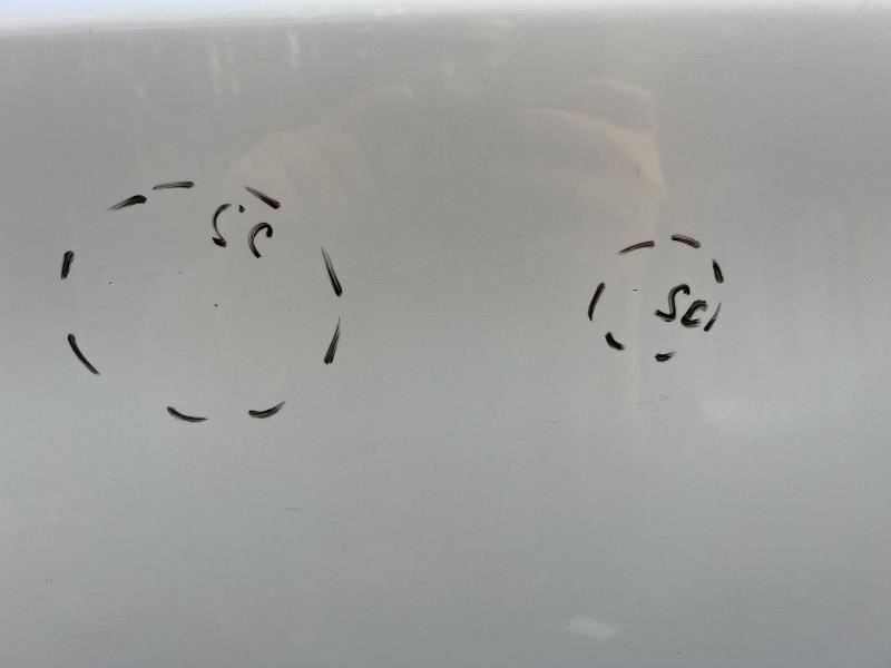 2010-2014 Toyota Prius Front Right Door Shell Panel 67001-47070 OEM *ReaD* - Alshned Auto Parts