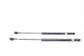 15-21 Jeep Renegade RR RH & LH Liftgate Lift Cylinder Strut Set 68269468AA - Alshned Auto Parts