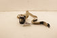 12-19 Volkswagen Passat SE 1.8L FWD Rear Right Side 2nd Row Seat Belt Retractor - Alshned Auto Parts