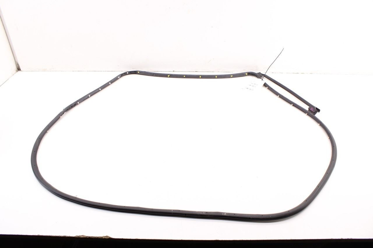 2011-2018 Ram 1500 Crew Cab Laramie Rear Left Door Mounted Weatherstrip *ReaD* - Alshned Auto Parts