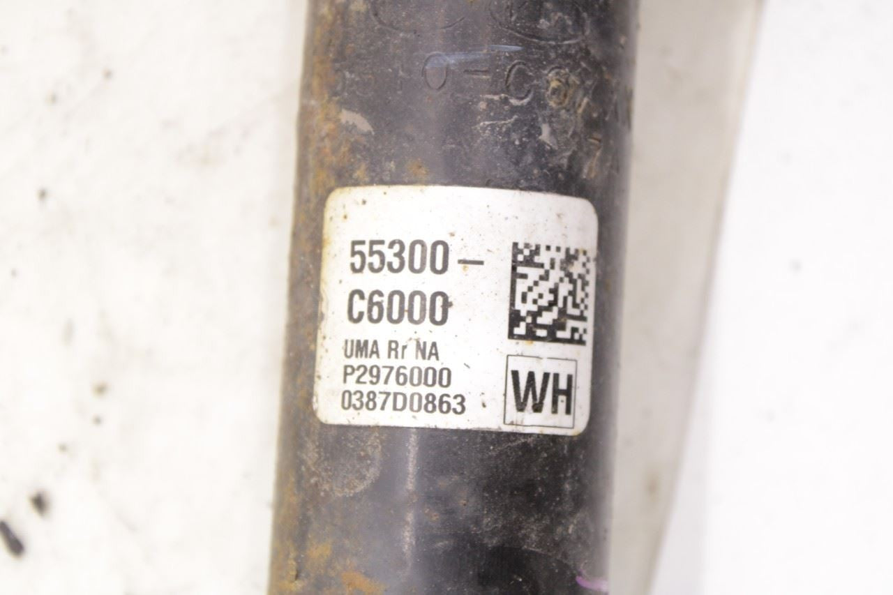 2015-2020 Kia Sorento EX 3.3L AWD Rear Left Driver Side Shock Strut Absorber - Alshned Auto Parts