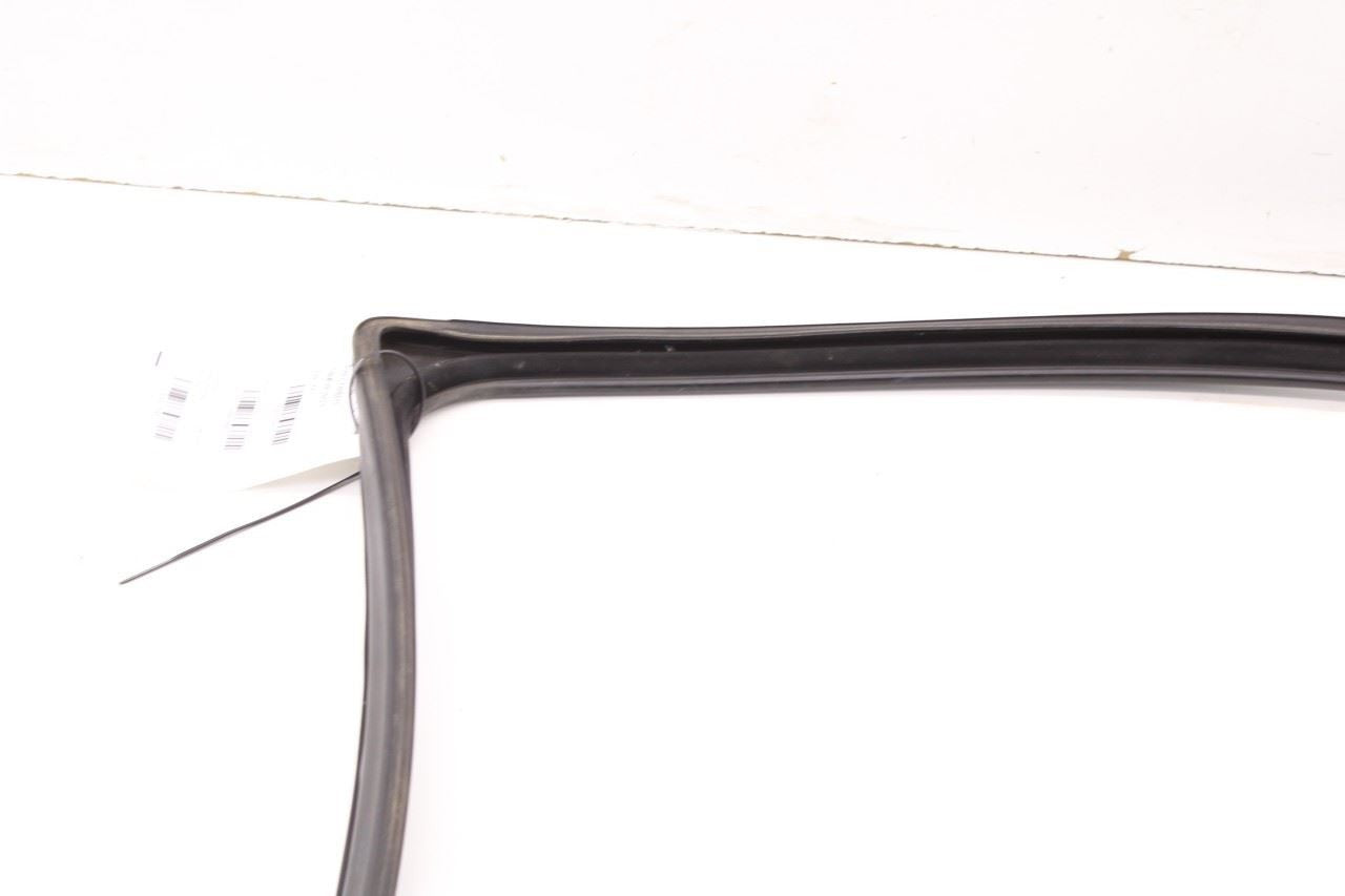 2011-2018 Ram 1500 Laramie Front Right Door Run Channel with Belt Weatherstrip - Alshned Auto Parts