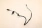 09-11 Toyota Camry LE 2.5L FWD Rear RH and LH ABS Speed Sensor Wire Harness Set - Alshned Auto Parts