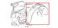 2024-25 Chevrolet Trax RR RH Quarter Wheelhouse Liner Splash Shield 42846761 OEM - Alshned Auto Parts
