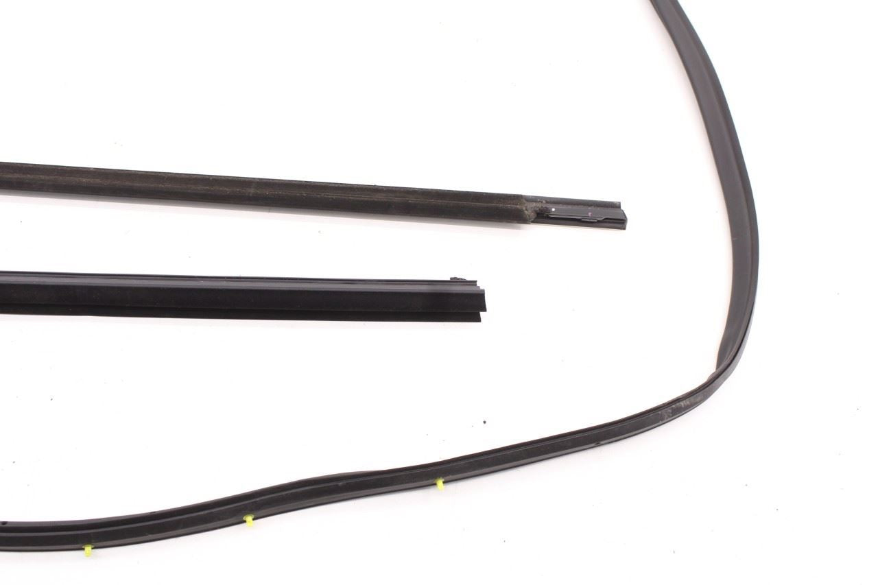 2019-2025 Infiniti QX50 LUXE Rear Left Door Weatherstrip with Belt Molding Set - Alshned Auto Parts