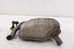 2003-06 Mercedes-Benz E500 5.0L V8 Rear Right Exhaust System Muffler 2114904059 - Alshned Auto Parts