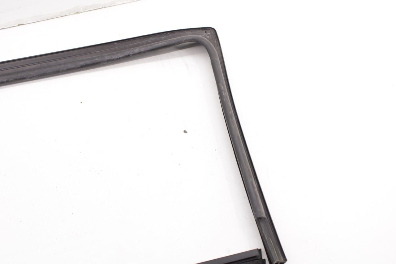 17-26 Chrysler Pacifica Rear Left Sliding Door Run Channel w/ Belt Weatherstrips - Alshned Auto Parts